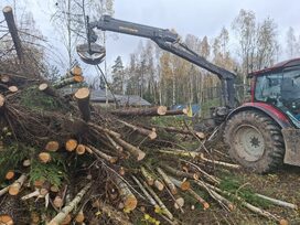 Aplinkos priežiūros paslaugos sklypų priežiūra