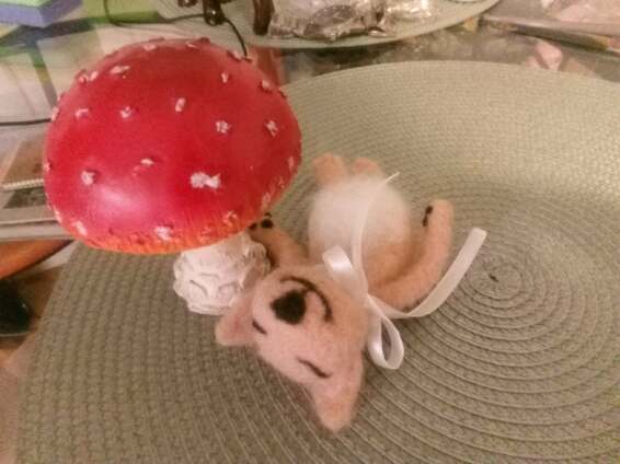 Veliu iš vilnos jūsų mylimus augintinius