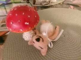 Veliu iš vilnos jūsų mylimus augintinius