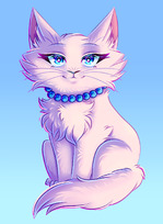 Piešimo bei Maketavimo paslaugos