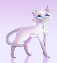 Piešimo bei Maketavimo paslaugos