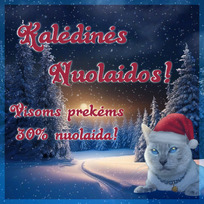 Piešimo bei Maketavimo paslaugos