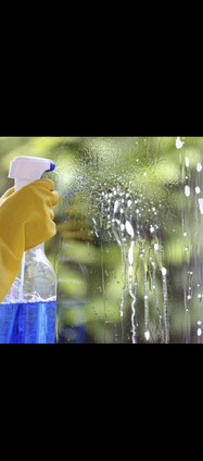 Privatus asmuo teikia valymo paslaugas su ĮDV