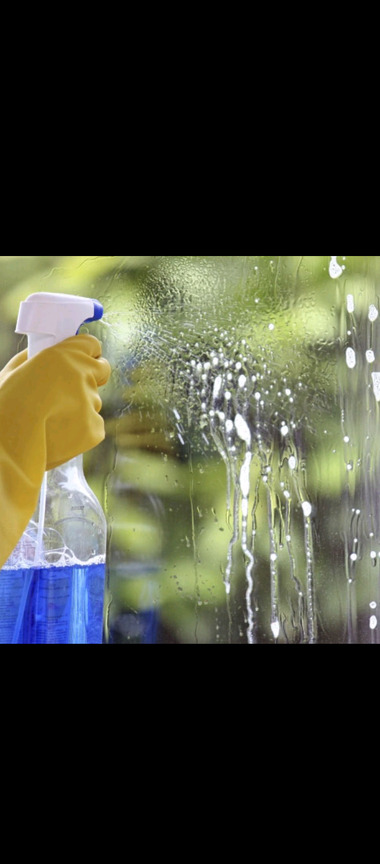 Privatus asmuo teikia valymo paslaugas su ĮDV