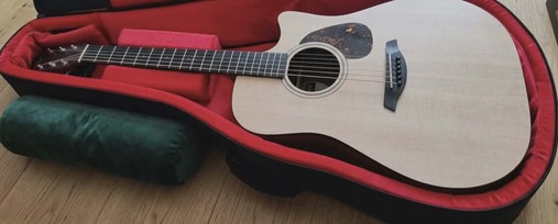 FURCH elektroakustine gitara