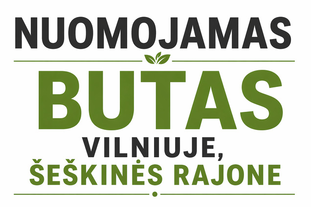 Nuomojamas butas
