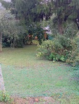 Namas