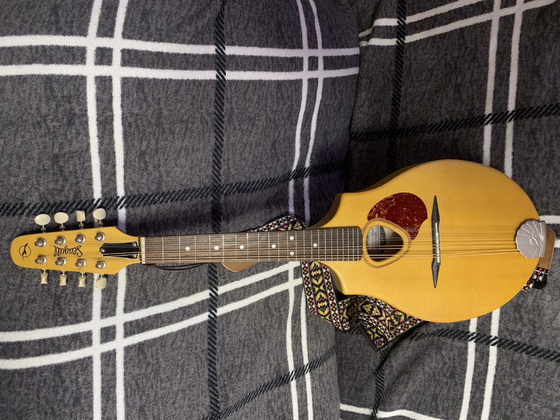 Mandolinos armonikos