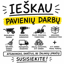 Pavieniai darbai