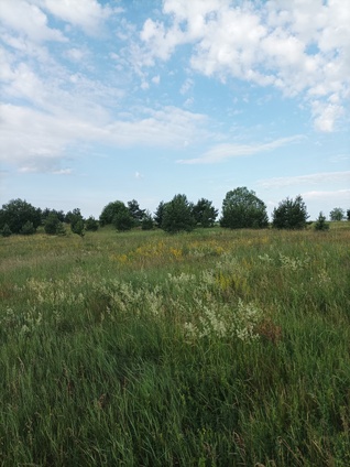 Parduodu 53a sklypas Gudelių k Vilniaus raj