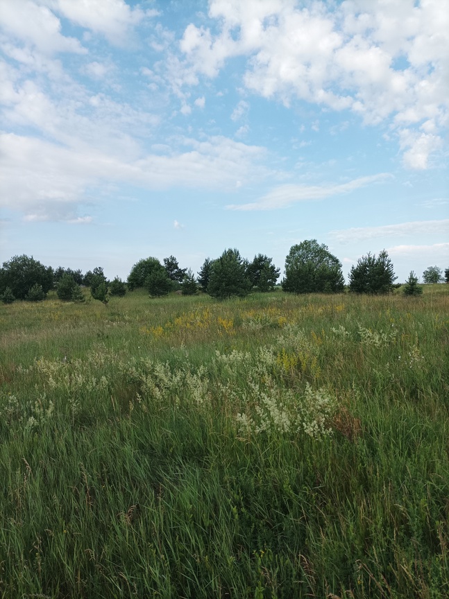 Parduodu 53a sklypas Gudelių k Vilniaus raj