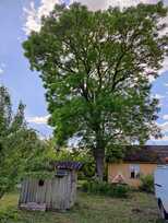 Parduodu sodybą