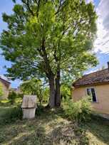 Parduodu sodybą