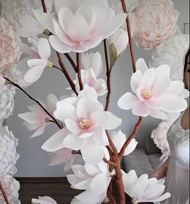 Magnolijos dekoracija – elegantiškas ir išskirtinis akcentas jūsų interjerui!
