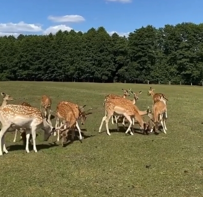 Pasimėgaukite vasariškais orais kitaip !!!