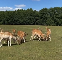 Pasimėgaukite vasariškais orais kitaip !!!