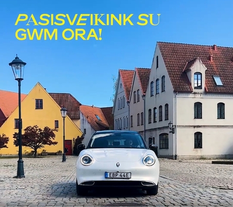 Elektromobilis GWM ORA 03