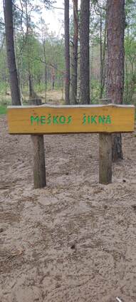 Ar esi girdėjęs apie Meškos Šikną?
