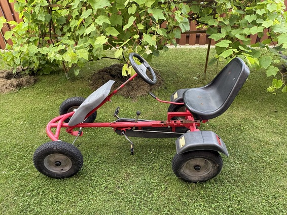 Minamas kartingas