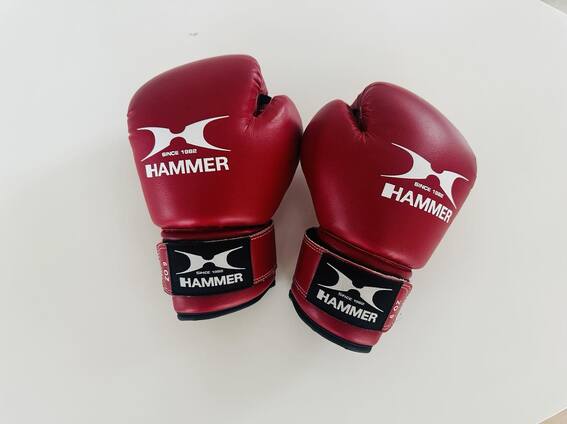 Bokso pirštinės Hammer