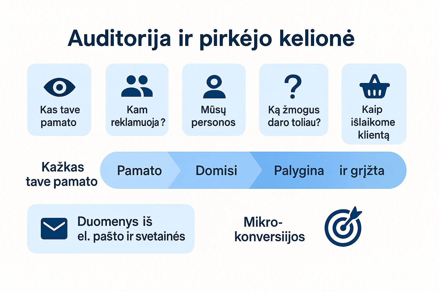 Infografikas, rodantis idealaus kliento profilį, 4 etapų pirkėjo kelionę, pirmosios šalies duomenų ir auditorijų medį bei SRI rezultatą.