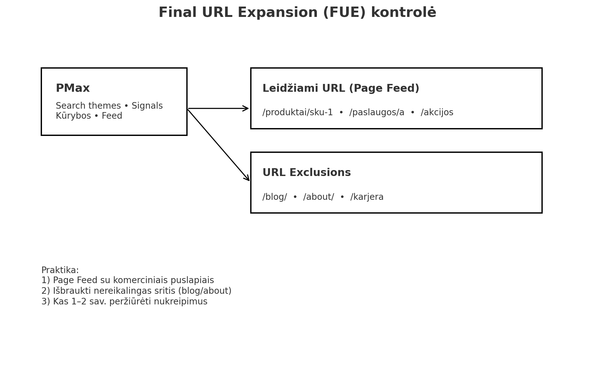 FUE kontrolės schema: PMax su Search themes ir signalais, Page Feed leidžiami URL bei „URL Exclusions“ (blog, about), rodyklės į nukreipimo logiką.