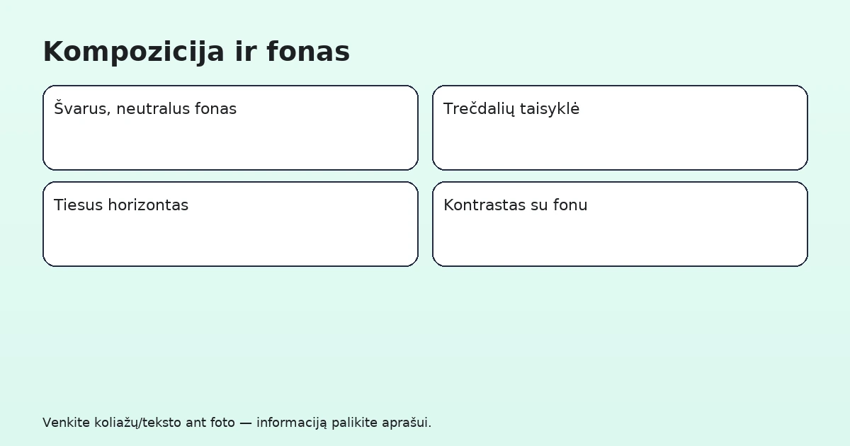 Kompozicija ir fonas: švarus fonas, trečdalių taisyklė, tiesus horizontas, kontrastas